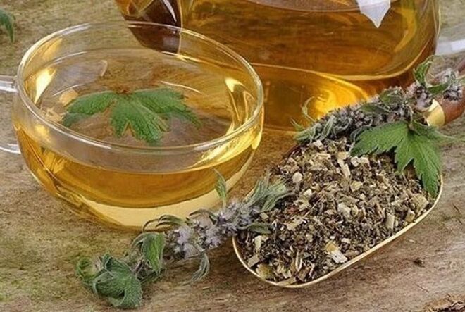 Herbal