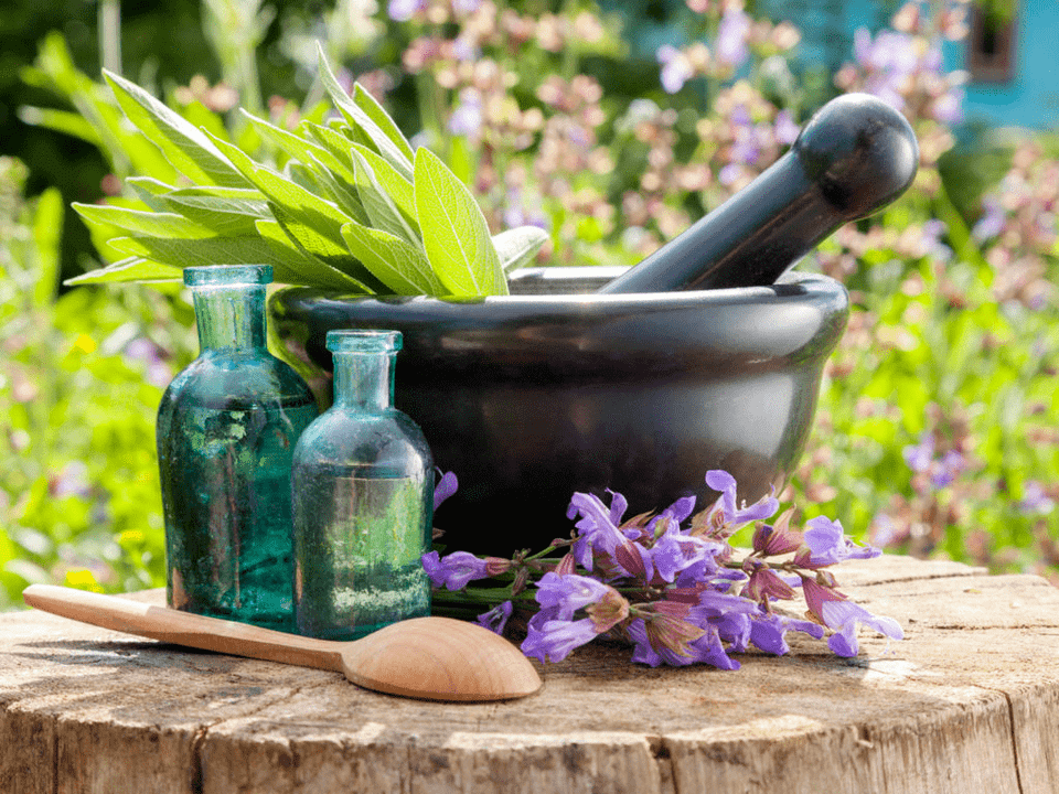 Herbs for healing baths for osteochondrosis
